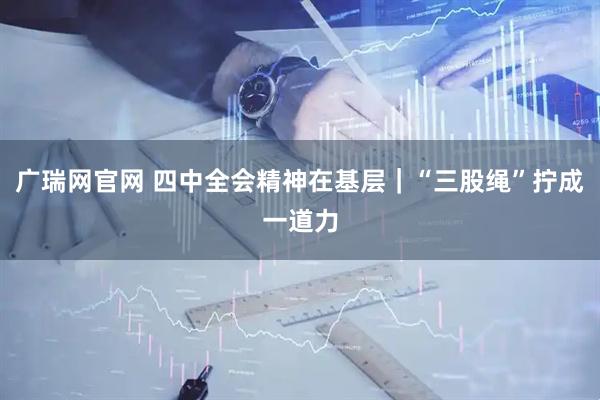 广瑞网官网 四中全会精神在基层｜“三股绳”拧成一道力