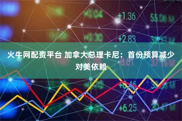 火牛网配资平台 加拿大总理卡尼：首份预算减少对美依赖