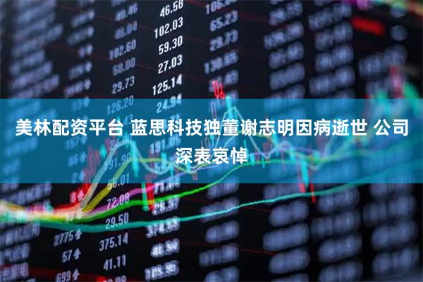 美林配资平台 蓝思科技独董谢志明因病逝世 公司深表哀悼