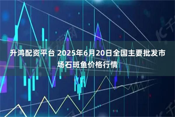 升鸿配资平台 2025年6月20日全国主要批发市场石斑鱼价格行情